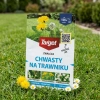 Starane Trawniki – Zwalcza Chwasty Na Trawniku – 100 ml Target