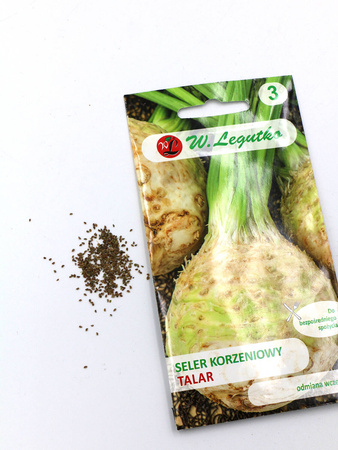 Seler Korzeniowy ‘Talar’ – 1 g Legutko