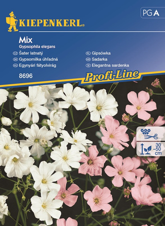 Gipsówka - Mix Nasiona - Kiepenkerl