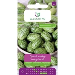 Ogórek Ozdobny Meksykański – 0,5 g Legutko