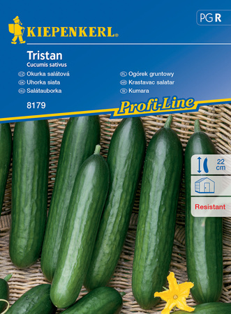 Ogórek Gruntowy 'Tristan' – Kiepenkerl