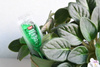 Green Energy odżywka do roślin zielonych – 35 ml Target
