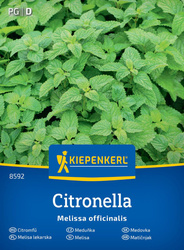 Melisa Cytrynowa – Wieloletnia – Kiepenkerl