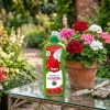 Nawóz do pelargonii w płynie – wzmacnia wybarwienie kwiatów – 1 l Target