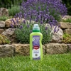 Nawóz do lawendy w płynie – wspiera kwitnienie – 500 ml Target