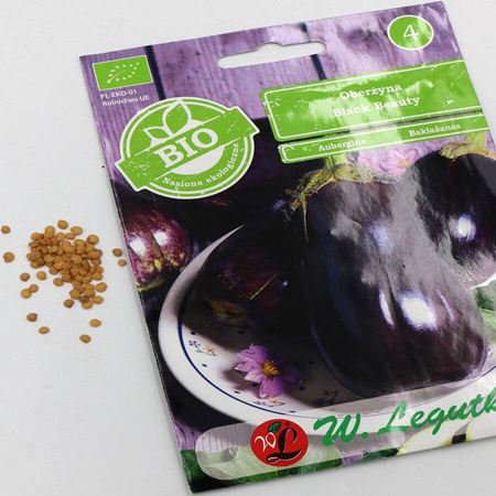 Oberżyna 'Black Beauty' – 0,50 g Legutko