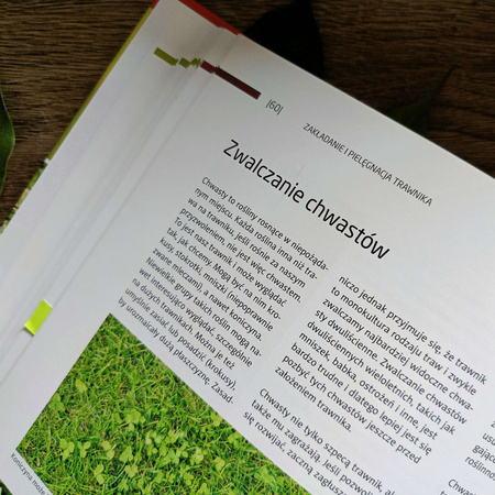 Piękny trawnik – książka – M. Mynett, M i S. Prończukowie