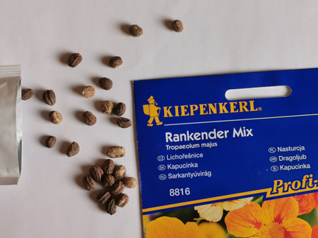 Nasturcja 'Rankender' - Mix Nasion - Kiepenkerl