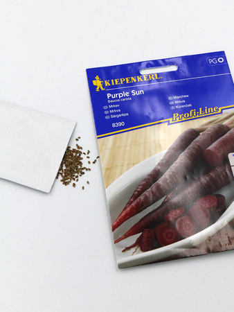 Marchew 'Purple Sun' F1 – Kiepenkerl