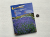 Lawenda 'Hidcote Blue Strain' – Nasiona – Kiepenkerl