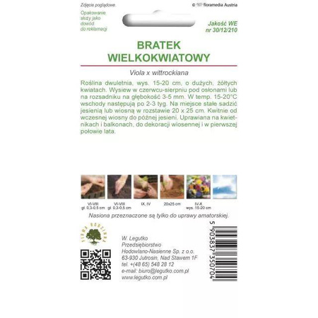 Bratek Wielkokwiatowy – Żółty – Legutko