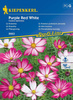 Kosmos Podwójnie Pierzasty 'Purple Red White' – Nasiona Kiepenkerl