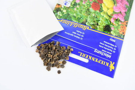 Malwa Ogrodowa – Mix Kolorów – Kiepenkerl