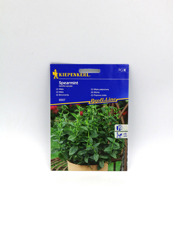Mięta Pieprzowa 'Spearmint' – Kiepenkerl