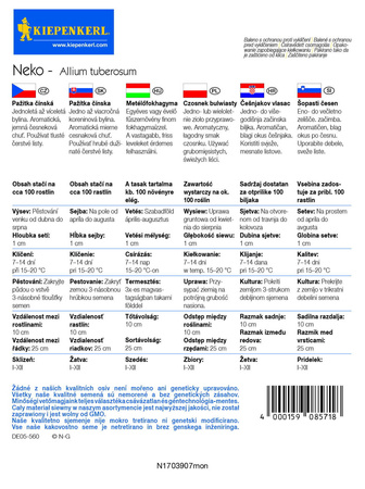 Szczypiorek Czosnkowy 'Neko' – Zimujący – Kiepenkerl