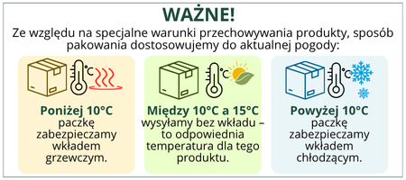 Złotooki bohater Vegano – 200 larw na mszyce, wciornastki, mączliki i wełnowce – 10 m² ochrony