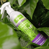Regenerator do roślin zielonych – odżywka, nawóz w sprayu (mgiełka) – 300 ml Vegano