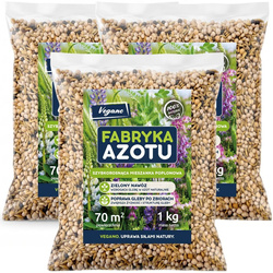 Mieszanka poplonowa Vegano Fabryka Azotu - 3 kg - do 210 m²