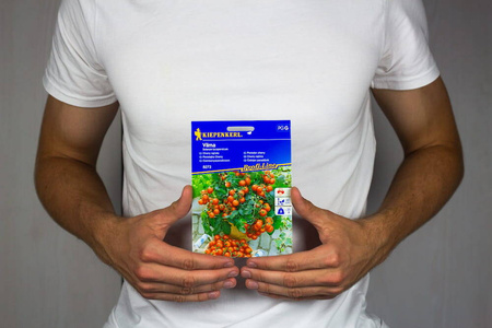 Pomidor Cherry 'Vilma' – Kiepenkerl