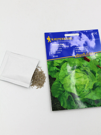 Sałata Głowiasta Masłowa 'Attractie' – Kiepenkerl