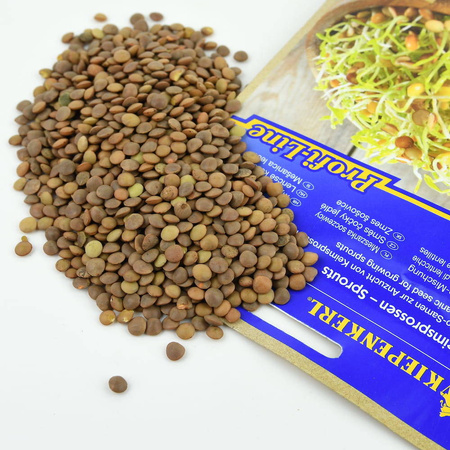 Soczewica – Nasiona Na Kiełki – Kiepenkerl