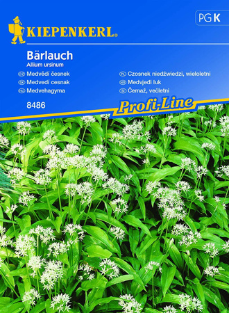 Czosnek Niedźwiedzi – Wieloletni – Kiepenkerl