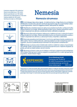 Nemezja powabna Nemesia Kiepenkerl