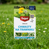 Starane Trawniki – Zwalcza Chwasty Na Trawniku – 20 ml Target