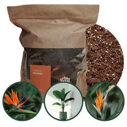 Podłoże do strelicji - bigos 5 L Urban Jungle