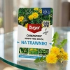Chwastox Complex 260 EW – na trawniki– 100 ml Target
