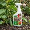 Naturalny oprysk na szkodniki i choroby roślin – środek 2w1 na mszyce, przędziorki, mącznika i szarą pleśń – Vegano 1 l