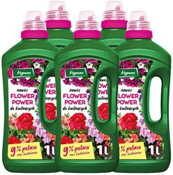 Nawóz do roślin kwitnących z potasem - do surfinii, pelargonii, begonii, fuksji – 5 x 1000 ml Flower Power Vegano