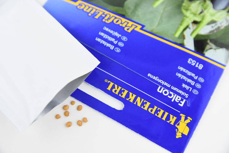 Bakłażan Oberżyna 'Falcon' F1 – Nasiona Kiepenkerl