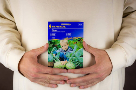 Kalarepa 'Gigant' – Na Późny Zbiór – Kiepenkerl