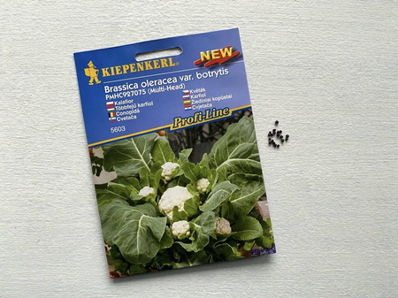 Kalafior 'Multi-Head' F1 – Wielogłowiasty – Kiepenkerl