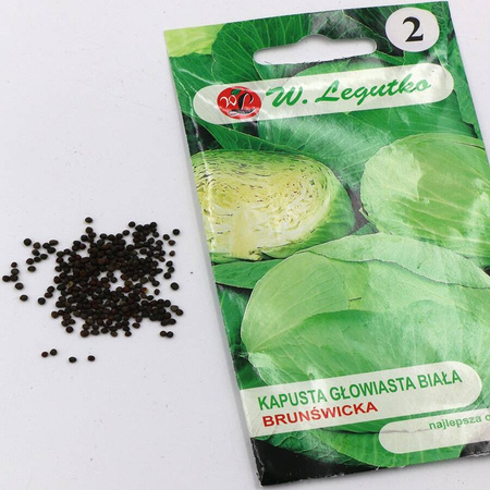 Kapusta Głowiasta Biała Brunświcka – 2 g Legutko