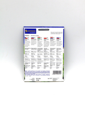 Ogórek Meksykański 'Mateo'– Kiepenkerl