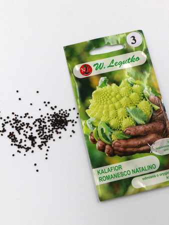 Kalafior ‘Romanesco Natalino’ – 1 g Legutko