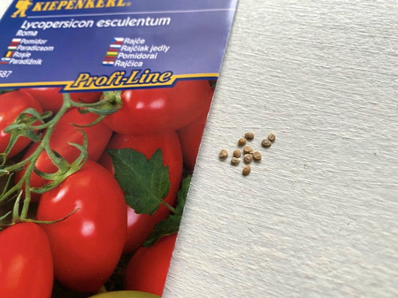 Pomidor 'Roma VF' – Rzymski – Kiepenkerl