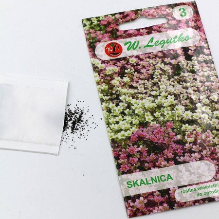 Skalnica – Mix Kolorów – Legutko