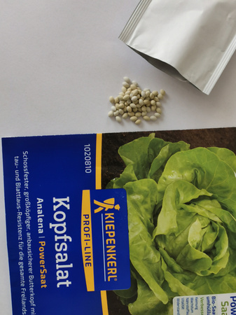 Sałata Masłowa 'Analena' - Nasiona Otoczkowane - Kiepenkerl