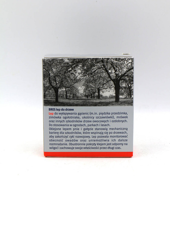 Lep Do Drzew – Przezroczysty – 5 m Bros