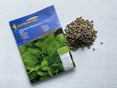 Szpinak 'Palaco' – Uprawa Ekologiczna – Kiepenkerl