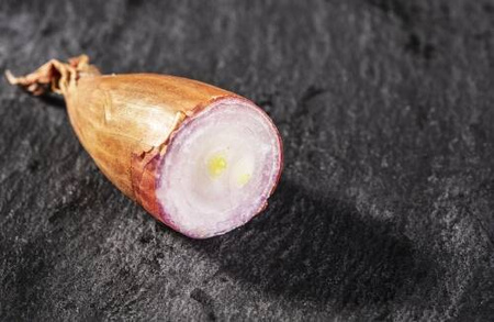 Cebula Szalotka 'Red Sun' – Dymka 250 g