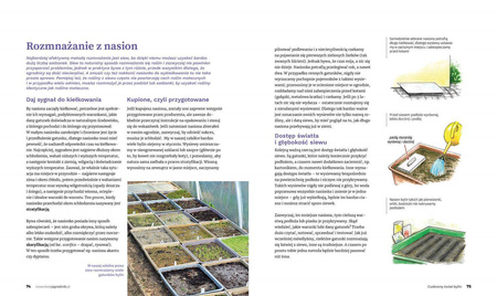 Książka Cudowny Świat Bylin – Lucyna i Alicja Grabowska