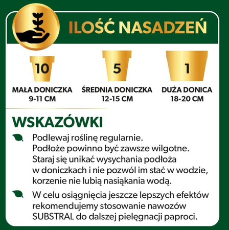 Podłoże Do Paproci – 3 l Substral