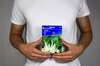 Pak Choi 'Joi Choi' F1 – Kiepenkerl