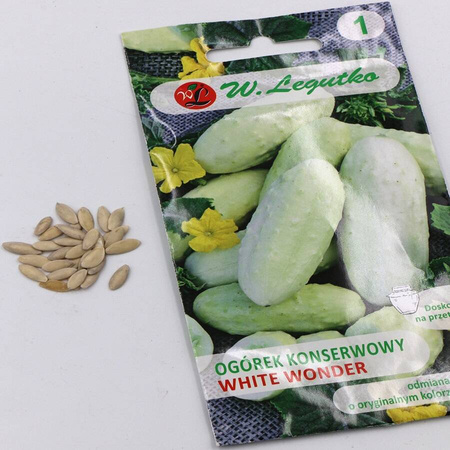 Ogórek Gruntowy White Wonder – 2g Legutko