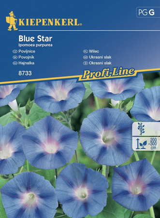 Wilec 'Blue Star' – Kiepenkerl