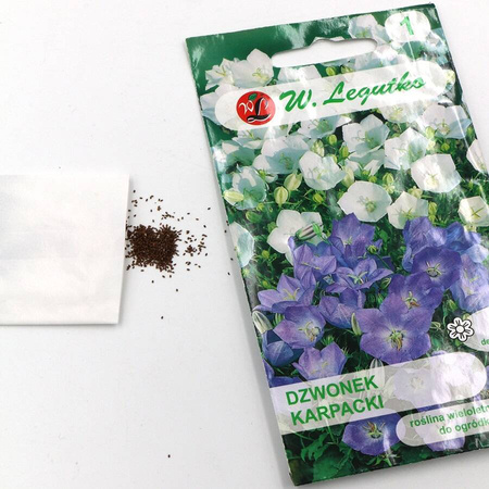 Dzwonek Karpacki – Mix Kolorów – Legutko